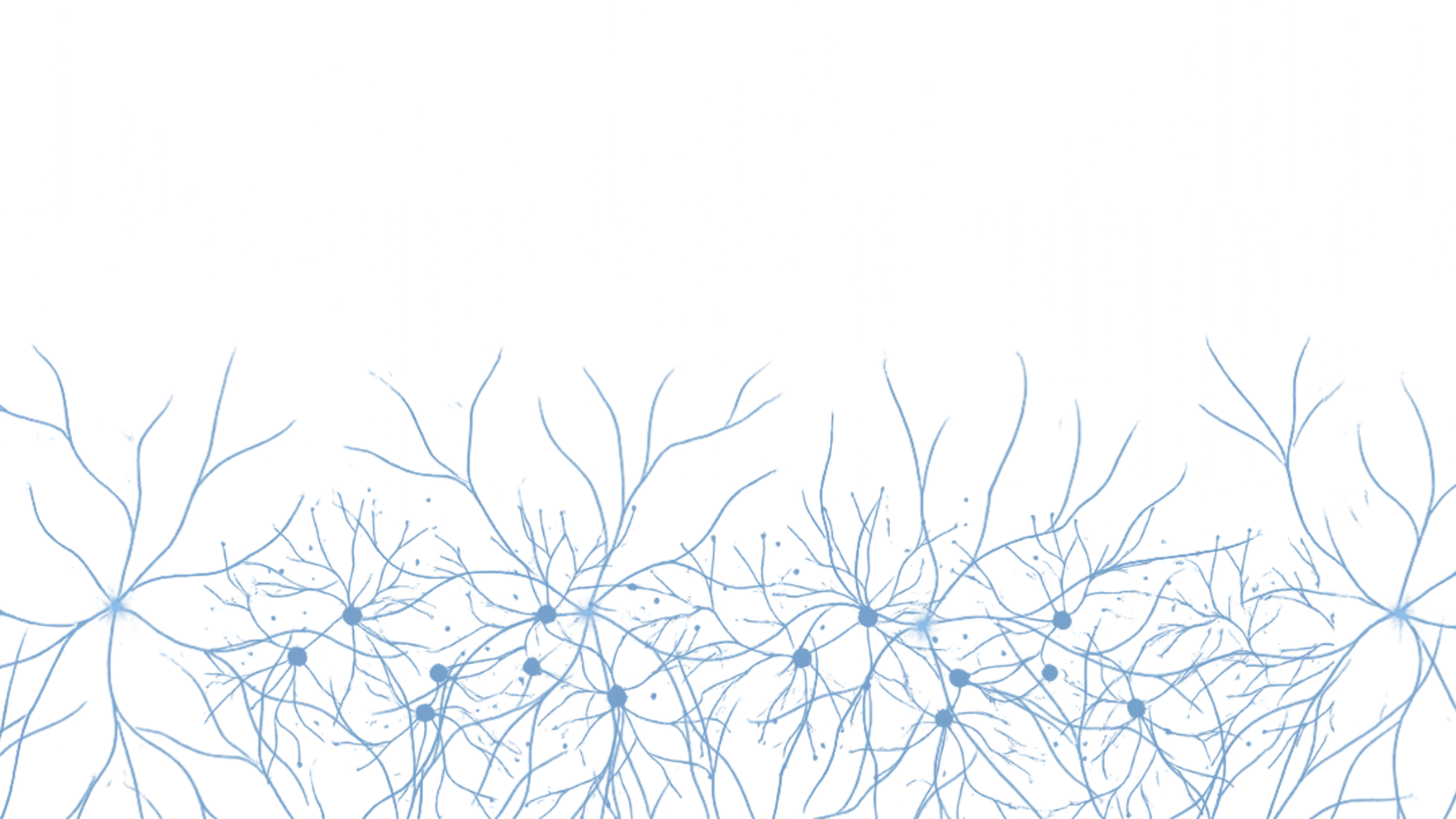 Nirae Wellness Lab, Neuro Filigrane, European premium vegan & natural supplements, Science-Proven, Nature-Rooted, Lab-Crafted, crafted with science & nature.