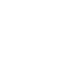 Nirae Wellness Lab, European premium vegan & natural supplements. Nirae DNA icon. Science-Proven, Nature-Rooted, Lab-Crafted, crafted with science & nature.